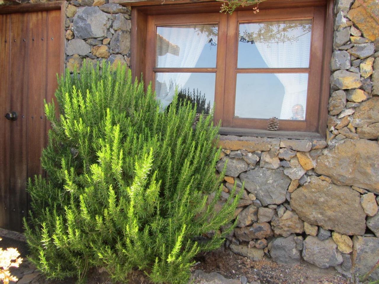 Casa Rural La Jarita El Pinar  Zewnętrze zdjęcie