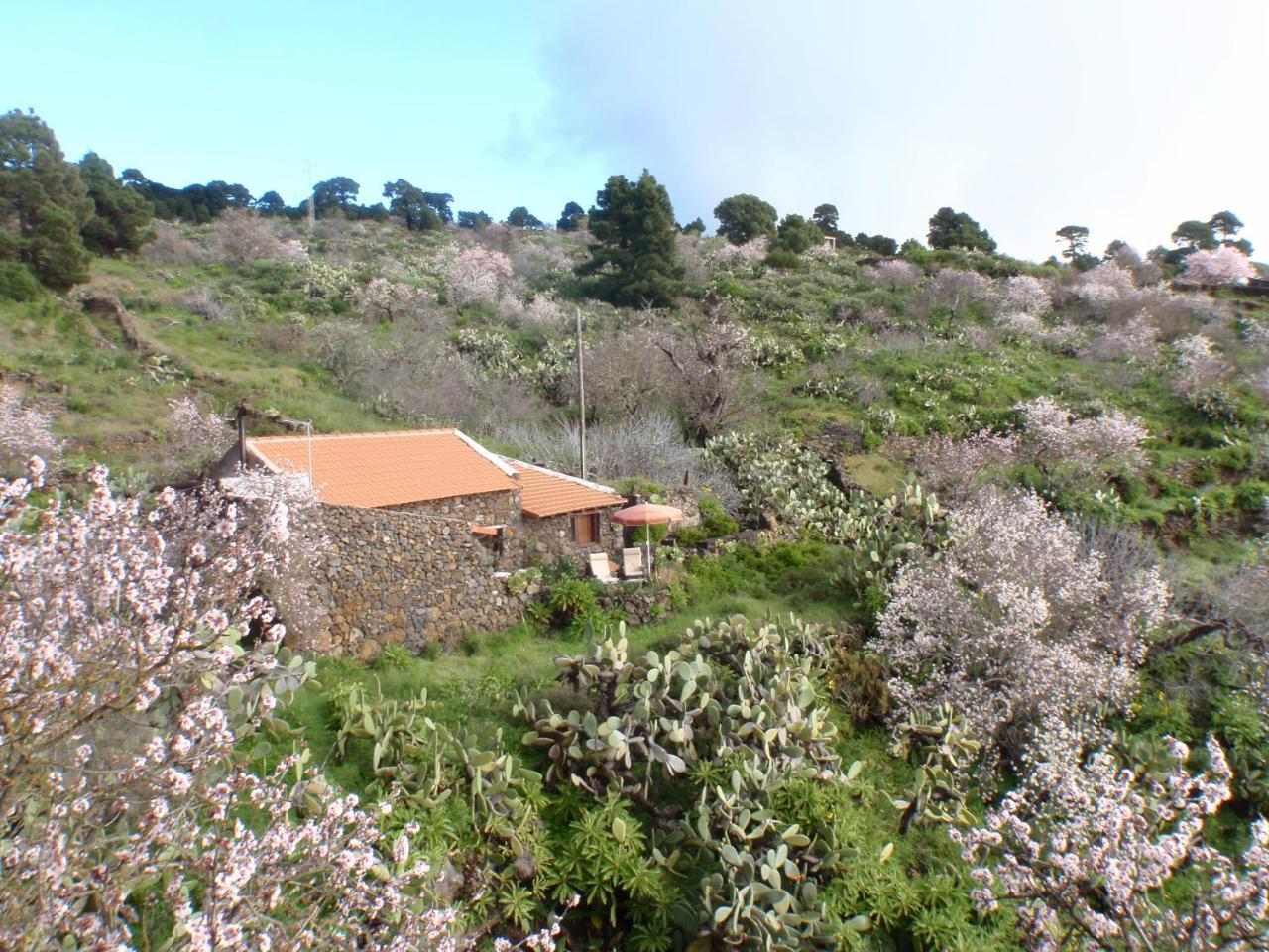 Casa Rural La Jarita El Pinar  Zewnętrze zdjęcie